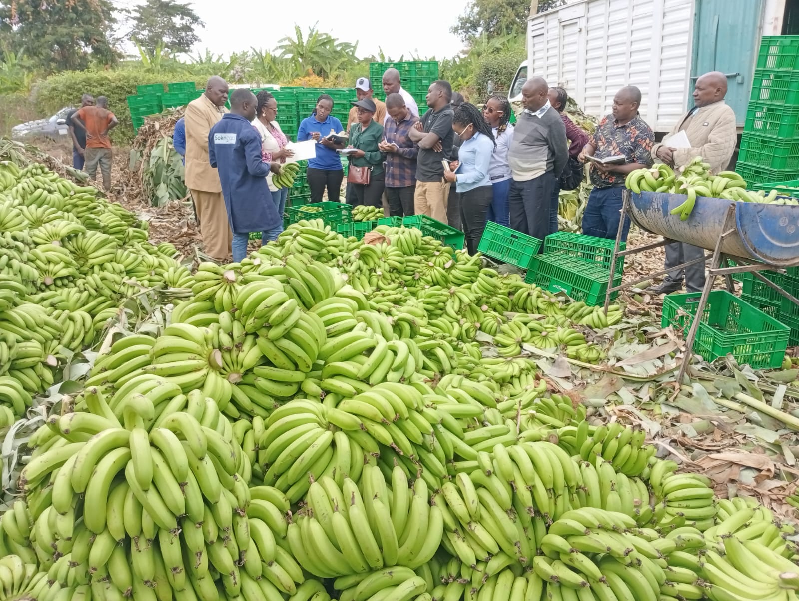 Community Outreach